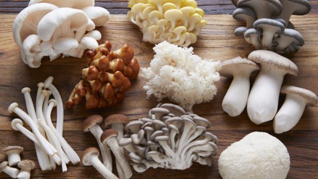 If you are on a diet, say hello to mushrooms.