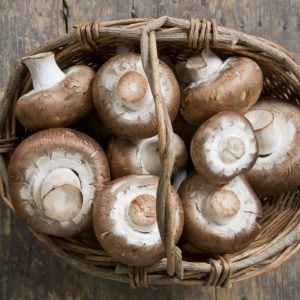 Shiitake most important properties and benefits