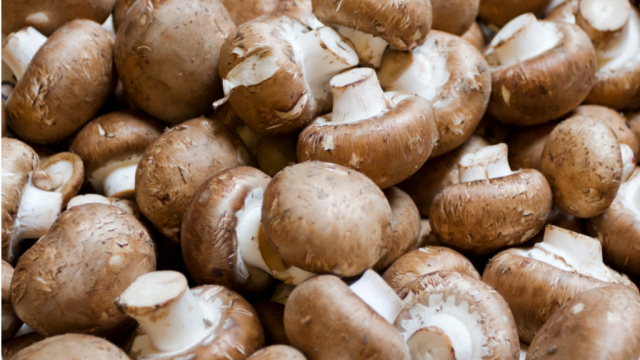 The best mushrooms for cooking and their properties