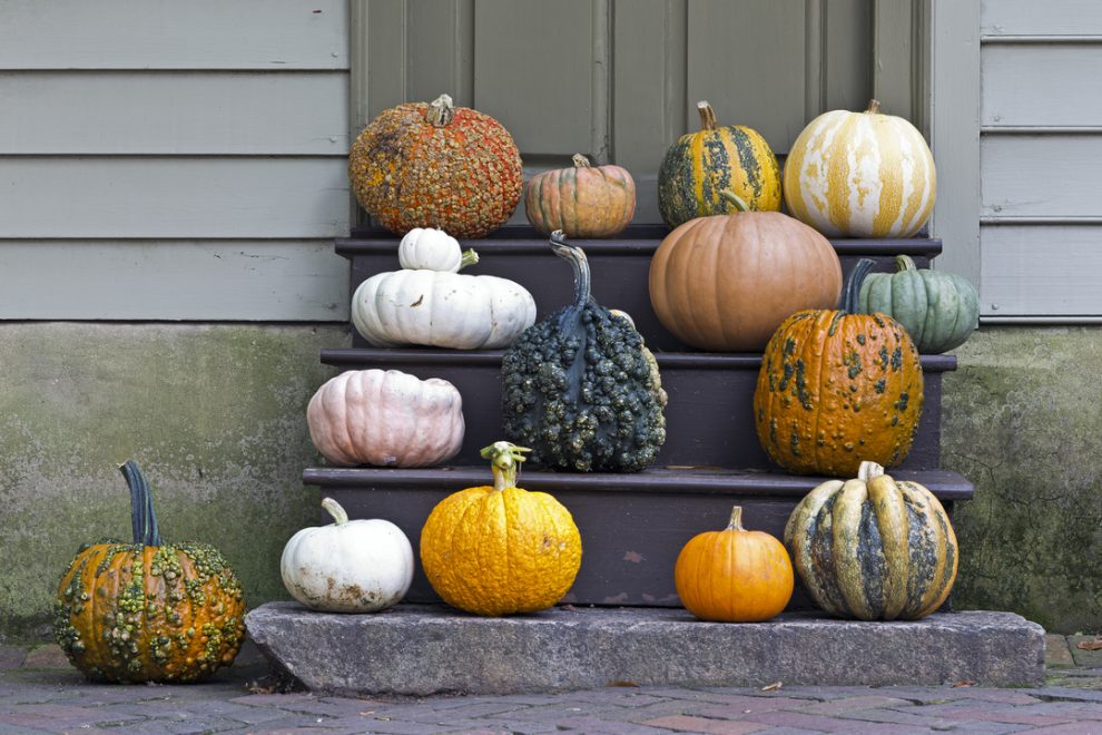 Why should we have pumpkins in the fall?