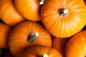 How to choose and keep pumpkin ?